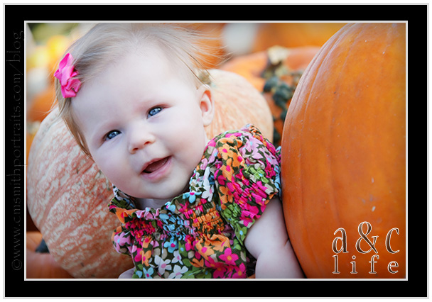 09_27_09pumpkinsFB-005 09_27_09pumpkinsFB-005